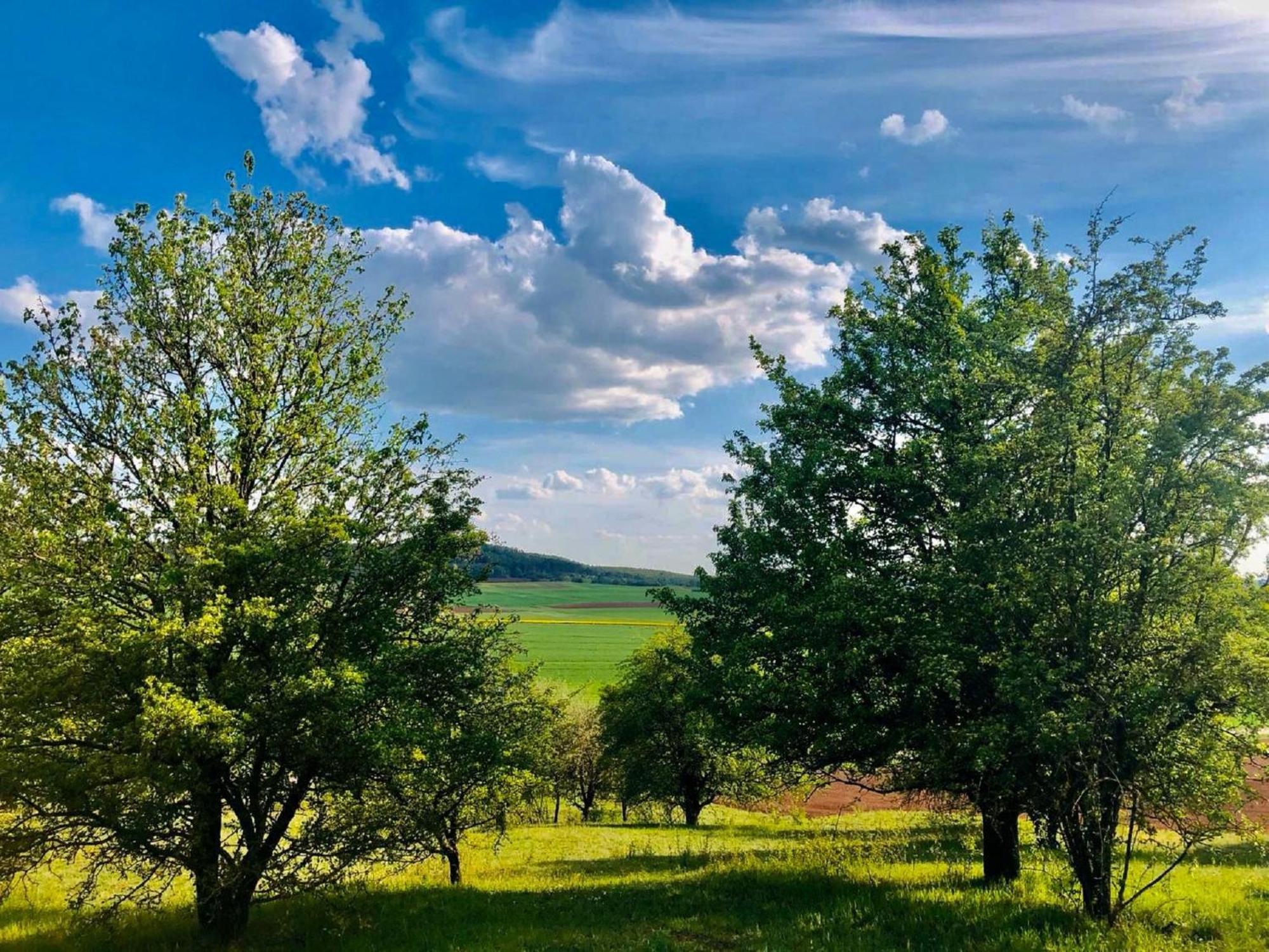 Ferienwohnungen Goja Bad Königshofen im Grabfeld Exteriér fotografie